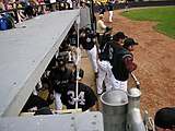 Calgary Vipers players in their dugout