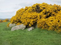 Wedge Tomb von Carrig