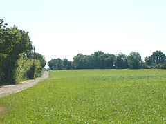 Pré pour foin de Crau.