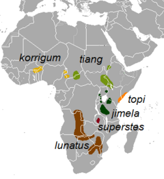 Distribuição do topi e suas subespécies