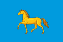 Drapeau de Minoussinsk