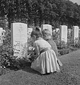 Grave of a war pilot