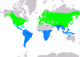 Aire de répartition de l'Hirondelle rustique