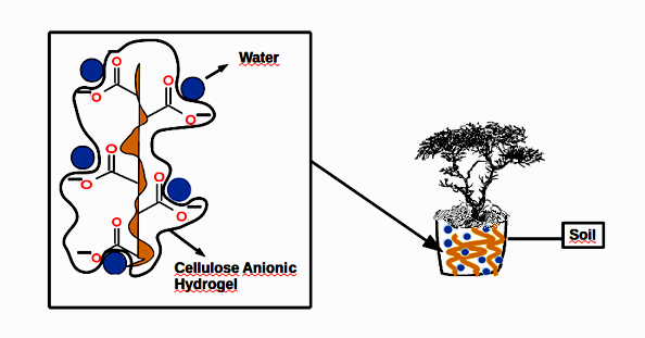 চিত্র:Illustration of Water retention in the soil after applying cellulose anionic hydrogel.tif