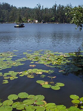 Image illustrative de l’article Lac de Kodaikanal