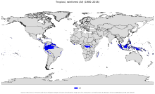 Tropical Rainforest Climate Region