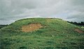 The Moot Hill or Law Mount above the River Annick near Castleton Farm.