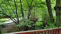 Mellingbek an der Einmündung in die Alster, links Hohenbuchenteich