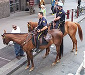 Конная полиция NYPD