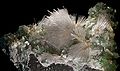 Natrolite et apophyllite - Nasik District, Maharashtra, Inde (24x14cm)