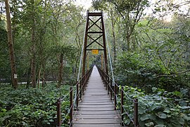 Patapsco Swinging Bridge