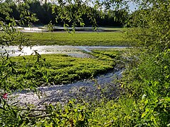 Le lac de Courty, entièrement protégé par le zonage Natura 2000.