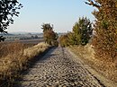 Pflasterstraße zwischen Prenzlau und Seelübbe (Seelübber Weg)