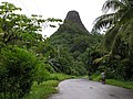 Pwusehn Malek (also known as Chickenshit Mountain) in Pohnpei
