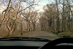 A drive through Sathyamangalam Forest