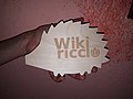 WikiRiccio n. 0 (17 novembre 2018)