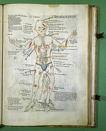 The Wound Man from a manuscript made in Germany probably around 1420 (London, Wellcome Library MS 49)