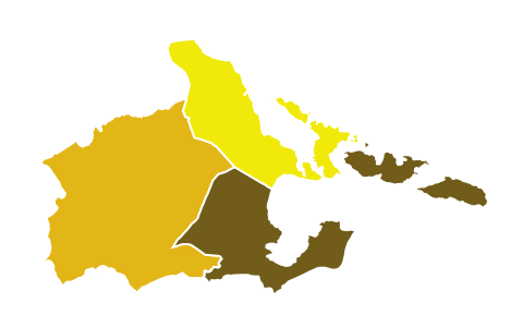 Results of 2019 Albay Congressional Elections