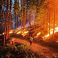 Firefighter Sarah Platt patrolling the Washburn Fire