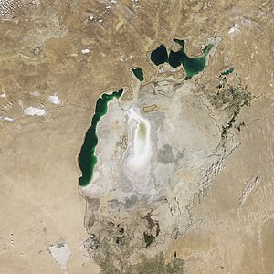 Aral Sea from space (north at top), August 2009