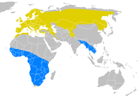 Amarelo – zona de cría Azul – inverno