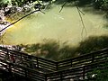 Boardwalk by the sinkhole