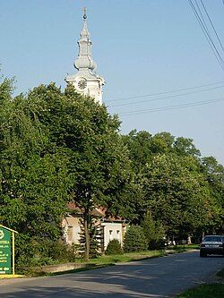 The Orthodox Church