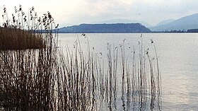 Vue du Jolimont depuis le lac de Bienne.