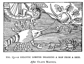 Giant lobster attacking ship. Lee, Henry (1884), p. 58, after Olaus Magnus (1555), Historia de gentibus septentrionalibus.