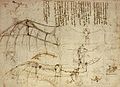 Image 16One of Leonardo's sketches (from History of aviation)