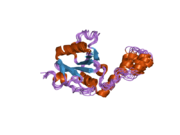 1yzb: Solution structure of the Josephin domain of Ataxin-3