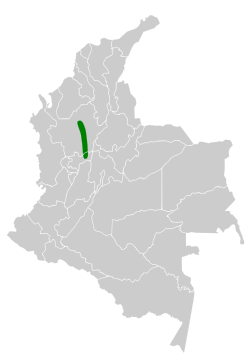 Distribución geográfica del orejerito antioqueño.