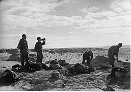 כיבוש אום-כתף - על ידי פלוגה ב' (גיוס חוץ לארץ) של גדוד 7 בחטיבת הנגב (1948)