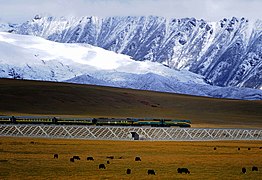 Train tiré par une locomotive diesel NJ2 des chemins de fer chinois sur la ligne Qinghai-Tibet en 2008.