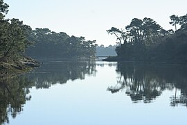 La rivière de Pont-l'Abbé, dans le sud-ouest.