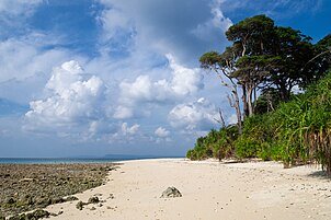 Tropical beach