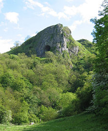An outside shot of a cave in the background with a forest in the foreground