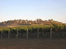 Photo de vignoble de la Riverina.