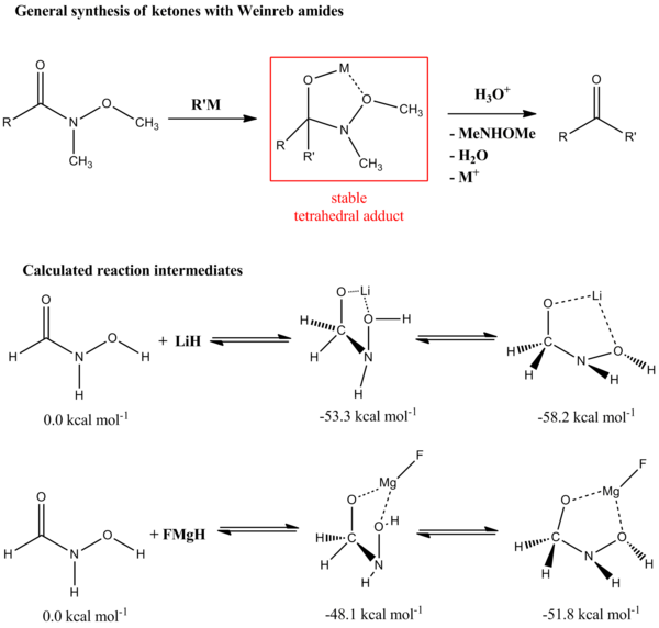 Weinreb ketone synthesis and tetrahedral intermediate stability