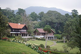 Guest houses