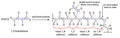 1,3-Butadiene Polymerization