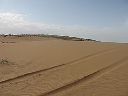 דיונה בחולות עגור