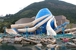 海洋奇觀 The Grand Aquarium