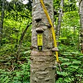 Une pièce de métal jaune rectangulaire portant l'inscription SIA/IAT en noir, fixée sur un arbre