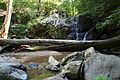 Patapsco Valley State Park