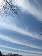 Cirrus radiatus