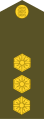 Leitnant (Estonian Land Forces)[31]