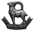 Ladakh Scouts[6]