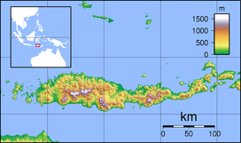 Ile Boleng is located in Flores