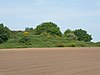 Grimston Warren Pit